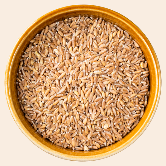 Natural Khapli Wheat Whole | खपली गहू | Natural Food Bazzar®