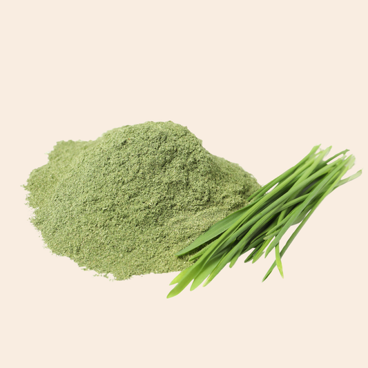 Natural Wheat Grass Powder | गव्हांकुर पावडर | Natural Food Bazzar®